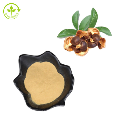 CAS 8047-15-2 প্রাকৃতিক উদ্ভিদের নির্যাস 80% চা বীজ স্যাপোনিন পাউডার