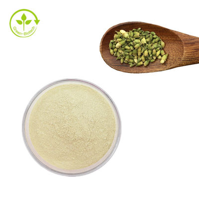 ফ্যাক্টরি সাপ্লাই sophora japonica extract Rutin 95% Sophora Japonica Extract Rutin পাউডার