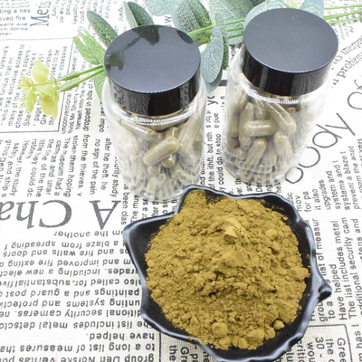 Ajuga Turkestanica Extract পাউডার 2% Turkesterone কিনুন