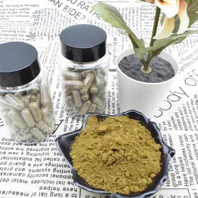 Ajuga Turkestanica Extract পাউডার 2% 10% Turkesterone Extract