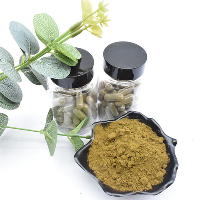 ভেষজ নির্যাস Ajuga Turkestanica Extract Turkesterone পাউডার