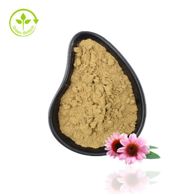 কারখানা সরবরাহ Echinacea পাউডার Echinacea Purpurea Extract Echinacea Extract উচ্চ মানের সঙ্গে