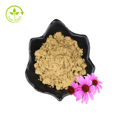 জৈব পলিফেনল শুকনো গুঁড়া ফুলের বীজ Echinacea Purpurea নির্যাস
