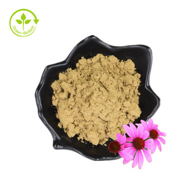Echinacea Extract Purpurea Root Extract Echinacea Angustifolia Extract