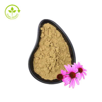 জৈবিক Echinacea Purpurea এক্সট্র্যাক্ট Echinacea Root Extract