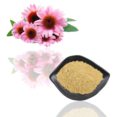 ফুড গ্রেড উদ্ভিদ নির্যাস পাউডার Echinacea Purpurea ফুলের নির্যাস
