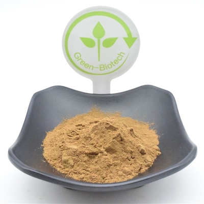কার্যকরী অজুগা তুর্কেস্তানিকা পাউডার 750mg 1000mg প্ল্যান্ট এক্সট্রাক্ট পাউডার