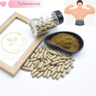 500mg Turkestanica প্রাকৃতিক উদ্ভিদ নির্যাস