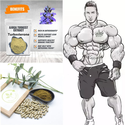 500mg Turkestanica প্রাকৃতিক উদ্ভিদ নির্যাস