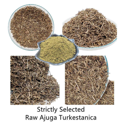 500mg Turkestanica প্রাকৃতিক উদ্ভিদ নির্যাস