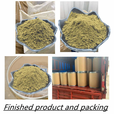 HPLC Turkesterone কাঁচা পাউডার 80 মেশ 40% পেশী সম্পূরক জন্য