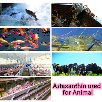 CAS 7542-45-2 1% - 10% Astaxanthin পাউডার স্বাস্থ্যকর যত্নের জন্য