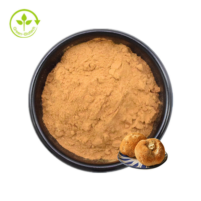 Lions Mane Mycelium Extract Hericium Erinaceus মাশরুম পাউডার 30%