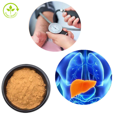 Lions Mane Mycelium Extract Hericium Erinaceus মাশরুম পাউডার 30%