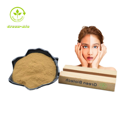 Mulberry Leaf Mulberry Leaf Plant Extract পাউডার 1% - 10% সুস্থ যত্নের জন্য