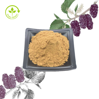 Mulberry Leaf Mulberry Leaf Plant Extract পাউডার 1% - 10% সুস্থ যত্নের জন্য
