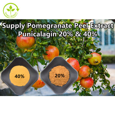 বিশুদ্ধ প্রাকৃতিক ডালিম নির্যাস পাউডার Punicalagin CAS 65995-63-3