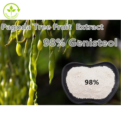 98% Genistein Fructus Sophorae Plant Extract Powder Nepeta Japonica Maxim