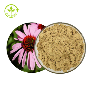উদ্ভিদ Echinacea Purpurea নির্যাস 4% পলিফেনলস পাউডার স্বাস্থ্যকর যত্ন পণ্য
