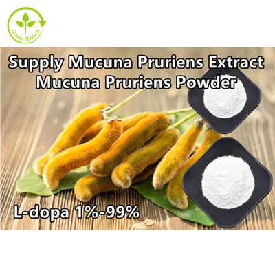 উদ্ভিদ Mucuna Pruriens নির্যাস 98% 99% এল-ডোপা পাউডার