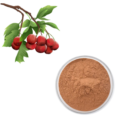 Hawthorn Berry Extract Flavones 80% পাউডার Crataegus পাতার নির্যাস