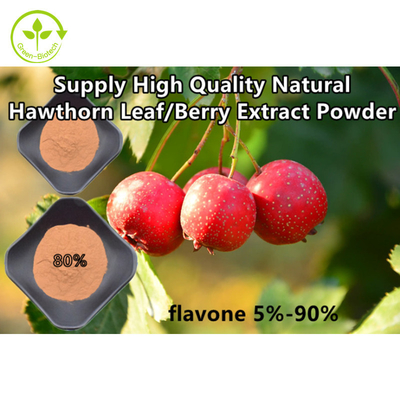 Hawthorn Berry Extract Flavones 80% পাউডার Crataegus পাতার নির্যাস
