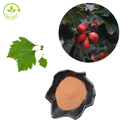 Hawthorn Berry Extract Flavones 80% পাউডার Crataegus পাতার নির্যাস