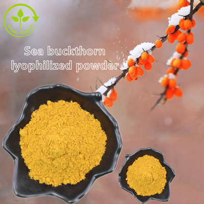 গাছের নির্যাস Fructus Hippophae Sea Buckthorn Oil Hippophae Rhamnoides Oil