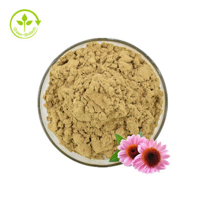 উদ্ভিদ Echinacea Purpurea নির্যাস 2% চিকোরি অ্যাসিড পাউডার