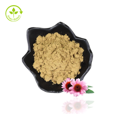 উদ্ভিদ Echinacea Purpurea নির্যাস 2% চিকোরি অ্যাসিড পাউডার