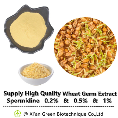 Spermidine Trihydrochloride উদ্ভিদ নির্যাস Spermidine পাউডার সম্পূরক