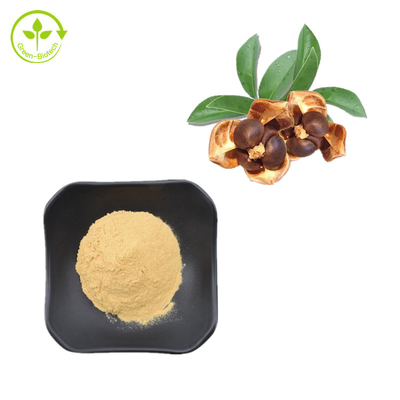 CAS 8047-15-2 প্রাকৃতিক উদ্ভিদের নির্যাস 80% চা বীজ স্যাপোনিন পাউডার