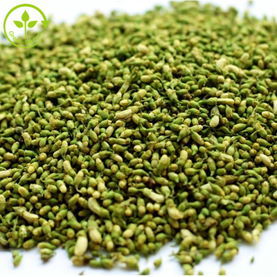 ফুড গ্রেড Sophora Japonica Extract 95% বিশুদ্ধ Quercetin পাউডার