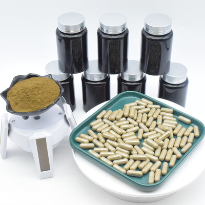 প্রাকৃতিক উদ্ভিদ নির্যাস 10% Turkesterone পাউডার / ক্যাপসুল / পানীয় / ট্যাবলেট / চা