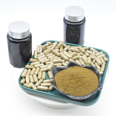 Ajuga Turkestanica শরীর গঠনের জন্য Turkesterone ক্যাপসুল এক্সট্র্যাক্ট