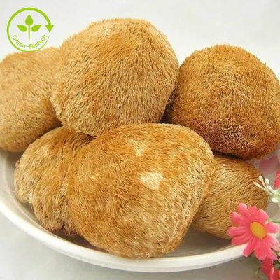চা / ম্যাচা / কফির জন্য জৈব লায়ন্স মাশরুম মাইসেলিয়াম এক্সট্র্যাক্ট পাউডার