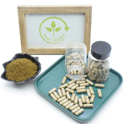 Ajuga Turkestanica Extract Turkesterone Turkesterone 500mg Capsules Turkesterone Capsule