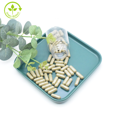 উদ্ভিদ নির্যাস Ajuga Turkestanica এক্সট্র্যাক্ট পাউডার 40% 500mg/60caps/বোতল Turkesterone ক্যাপসুল