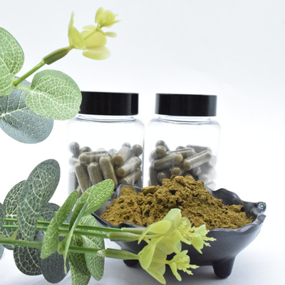 Ajuga Turkestanica Extract পাউডার 2% Turkesterone কিনুন