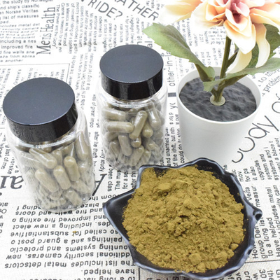 Ajuga Turkestanica Extract পাউডার 2% 10% Turkesterone Extract