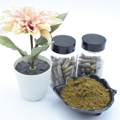 উদ্ভিদ নির্যাস Ajuga Turkestanica এক্সট্র্যাক্ট পাউডার 40% 500mg/60caps/বোতল Turkesterone ক্যাপসুল