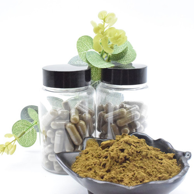 ভেষজ নির্যাস Ajuga Turkestanica Extract Turkesterone পাউডার