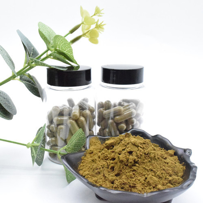 শীর্ষ মানের Ajuga Turkesterone পাউডার 10 Turkesterone Extract Turkesterone Plant Extract