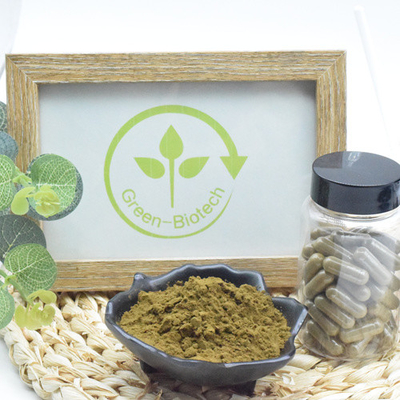 শীর্ষ মানের Ajuga Turkesterone পাউডার 10 Turkesterone Extract Turkesterone Plant Extract