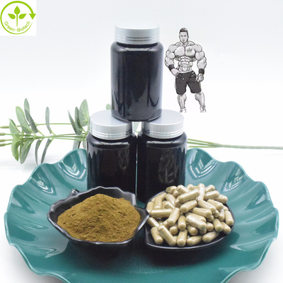 বিশুদ্ধ 10% 40% টার্কেস্টেরন এক্সট্র্যাক্ট পাউডার 800mg 1000mg Turkesterone ক্যাপসুল