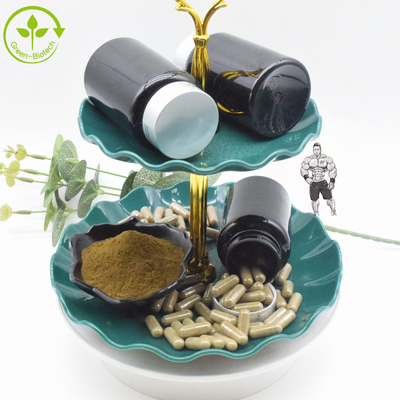 খাদ্য সম্পূরক Ajuga Turkestanica Extract 10% 20% Turkesterone পাউডার