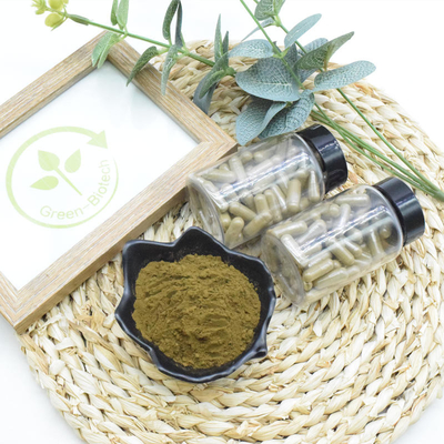 খাদ্য সম্পূরক Ajuga Turkestanica Extract 10% 20% Turkesterone পাউডার