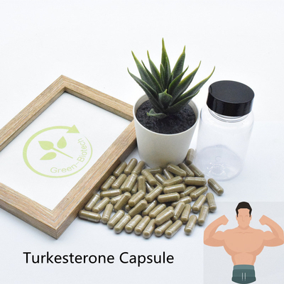 Turkesterone উচ্চ মানের Ajuga Turkesterone এক্সট্র্যাক্ট পাউডার