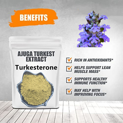 শীর্ষ মানের Ajuga Turkesterone পাউডার 10% Turkesterone Extract Turkesterone