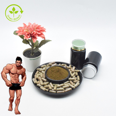 শীর্ষ মানের Ajuga Turkesterone পাউডার 10 Turkesterone Extract Turkesterone